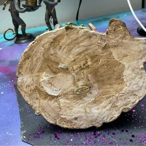 Natural Wood Reptile Hideout